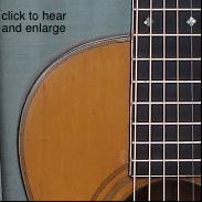 guitarwashburn